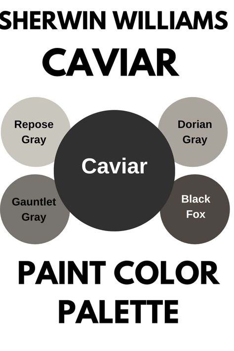 Sherwin Williams Caviar SW 6990 Black Magic Sherwin Williams, Caviar Sherwin Williams, Foyer Paint, Light Paint Colors, Sherwin Williams Color Palette, Black Paint Color, Dark Paint Colors, Paint Color Inspiration, Paint Colors Benjamin Moore