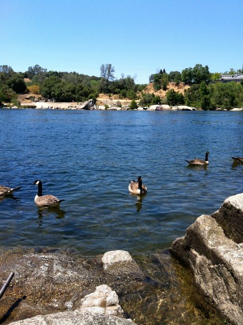 Folsom California; Folsom Lake/Wow! this had to be way before the drought!!! such a beautiful lake!!! water skied there many times..icy cold water!!! California State Capitol, Folsom California, Folsom Lake, Sweet California, South Pasadena, Film Locations, Lake Water, Water Skiing, Incredible Places