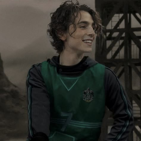 Happy reggie #regulus #regulusblack #marauders Regulus Acturus Black, Citate Harry Potter, Slytherin Boys, Hogwarts Aesthetic, Timmy T, Regulus Black, All The Young Dudes, Albus Dumbledore, Harry Potter Marauders