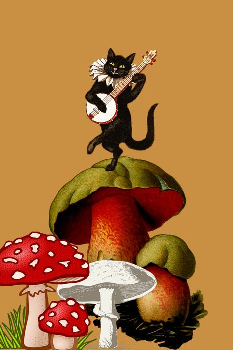 Black cat playing guitar and dancing on mushrooms hippie art Art Illustrations Aesthetic, Illustrations Aesthetic, Cat Design Art, Black Cat Playing, Funky Illustrations, Art Mushrooms, Weird Cats, Cat Playing Guitar, Hippy Art