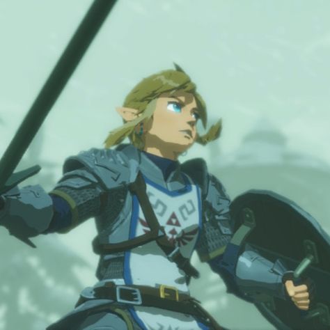 link icon - age of calamity Zelda Age Of Calamity, Hyrule Warriors Link, Hyrule Warriors Age Of Calamity, Link Icon, Age Of Calamity, Zelda Hyrule Warriors, Link Botw, Legend Of Zelda Memes, Lucas Till