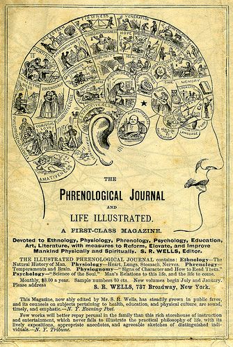 Phrenology Journal (1871) Psychology Posters, Brain Mapping, Basic Anatomy And Physiology, Vintage Medical, Scientific Illustration, Wood Crates, Arte Popular, Junk Drawer, Vintage Printables