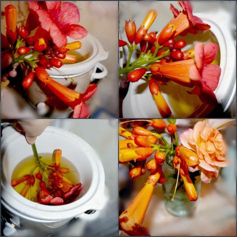 Suzy Homefaker: Wax dipped Flowers Wax Dipped Flowers, Preserve Flowers, Soya Mumu, Christmas Tree Decorating, Tree Decorating, Dry Plants, Preserved Flowers, Find A Way, Diy Crafts For Gifts