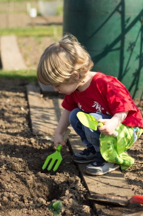 Unaccustomed Earth, Planting Strawberries, Kid Garden, Manga Background, Gardening With Kids, Kids Gardening, Planting Potatoes, Veg Patch, Growing Strawberries