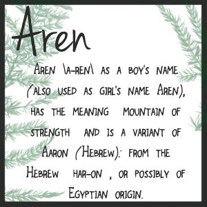 #Aren \a-ren\ as a boy's name (also used as girl's name Aren), has the meaning "mountain of strength" and is a variant of #Aaron (Hebrew): from the Hebrew "har-on", or possibly of Egyptian origin. #baby #boy #name ideas Turkish Names Boys, Ren Name Meaning, Arden Name Meaning, Hebrew Names And Meanings, Aaron Meaning Name, Biblical Baby Names Boy, Meaning Of Azaan, God's Names In Hebrew, Hispanic Babies