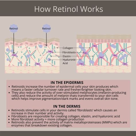 It's National Retinoid week! ✨ To start things off, here is a brief description of how Retinol works in the skin, a fibroblast cell & your opportunity to get a free guide to acids in skincare! Ever wondered how retinol works its magic on your skin? 🌟 From waking up your fibroblast cells (the collagen powerhouses) to speeding up skin cell turnover, retinoids are the key to smoother, firmer, and glowing skin over time! More to come this week to learn how these Vitamin A superstars work and w... How Retinol Works, Aesthetician School, Look Put Together, Dark Mark, More To Come, Vitamin A, Free Guide, Simple Tricks, Esthetician