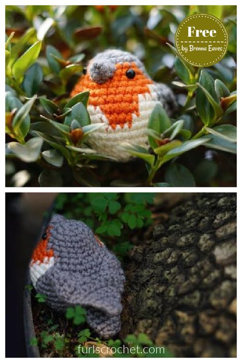 6 Robin Bird Amigurumi Crochet Patterns - Page 2 of 2 Crochet Robin, English Robin, Bird Amigurumi, Crochet Bird, Crochet Bird Patterns, Crochet Cape, Bird Free, Confection Au Crochet, Crochet Birds