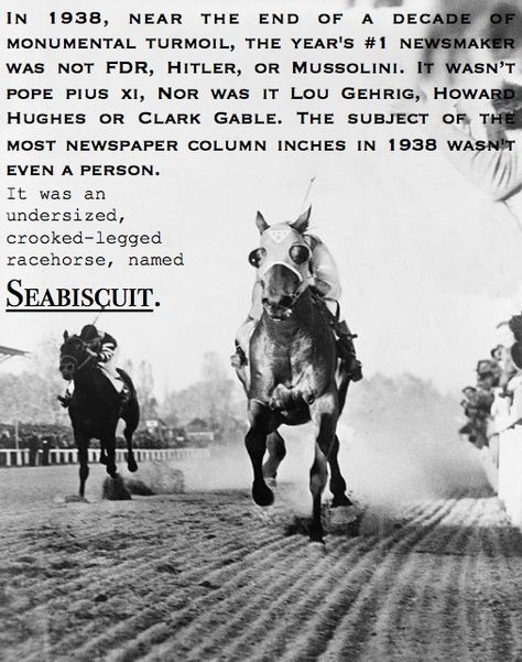 Seabiscuit Quotes, Seabiscuit Horse, Sea Biscuit, Horse Quotes Funny, Faster Horses, Horse Facts, Horse Care Tips, Thoroughbred Horse Racing, Sport Of Kings