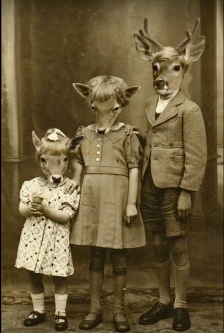 Creepy Vintage, Creepy Photos, Strange Photos, Animal Heads, Weird And Wonderful, Vintage Photographs, Vintage Photography, Old Pictures, Vintage Halloween