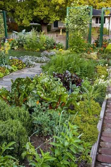 Calculate How Many Vegetables to Plant | Garden Gate Front Yard Flowers, Garden Library, Front Yard Garden Design, Potager Garden, Edible Landscaping, Veg Garden, The Secret Garden, Vegetable Garden Design, Front Yard Garden