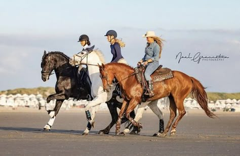 Group Horse Riding, Pin Free Rein, Equestrian Friends, Horse Friends, Horse Beautiful, Horse Poses, Friends Book, Free Rein, Equestrian Aesthetic