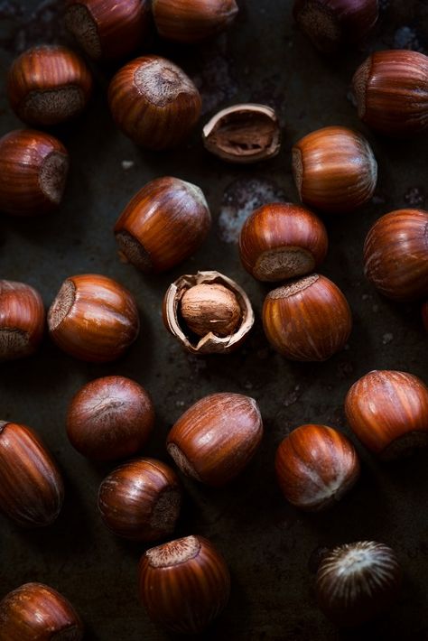 Hazelnut Tree, Vegan Christmas Recipes, Winter Treats, Roasted Chestnuts, Vegan Christmas, Food Source, Keto Snacks, Sans Gluten, Savoury Food