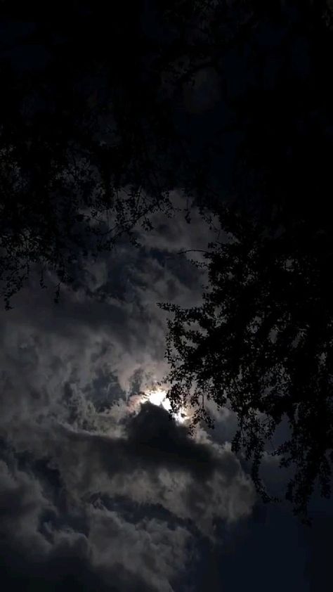 Nature Photography Sky, Palm Tree Photography, Night Sky Moon, Aesthetic Jungkook, Moonlight Photography, Night Sky Photography, Picture Writing Prompts, Photography Sky, Black Color Hairstyles