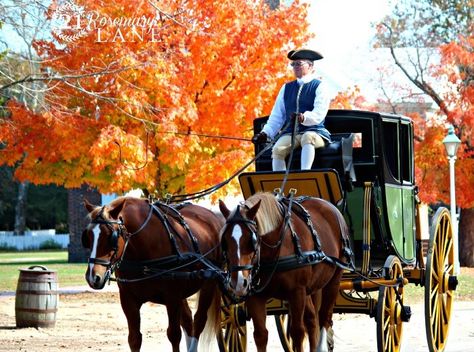 Colonial Williamsburg, Va. A beauty of a place on my bucket list for a fall adventure! Williamsburg Colonial, Colonial Williamsburg Va, Colonial Williamsburg Virginia, Art Costumes, Williamsburg Virginia, Colonial History, Recipes Family, Colonial America, Williamsburg Va