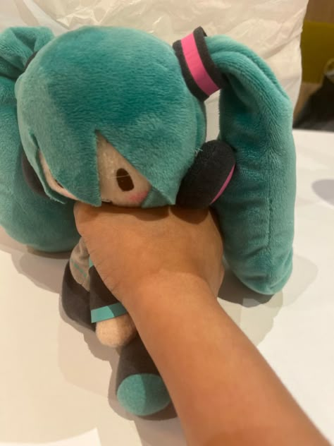 Miku Plushie Icon, Miku Plush Pfp, Plush Pfp, Funny Miku, Hatsune Miku Plush, Miku Dayo, Miku Plush, Pfp Female, Pfp Male