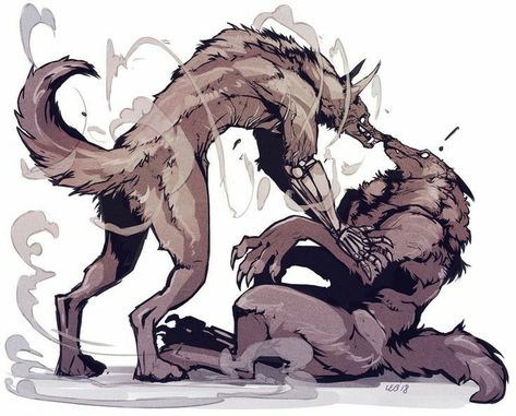 Gay Werewolf, Werewolf Art, Creature Drawings, Mythical Creatures Art, Poses References, Creature Concept Art, Wolf Art, Arte Fantasy, Arte Animal