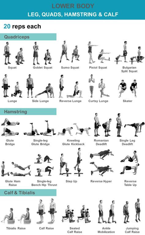 Calf And Hamstring Stretches, Lower Body Body Weight Exercises, Body Weight Leg Day, Dumbell Leg Exercises, Lower Body Quad Workout, Single Leg Hamstring Exercises, Body Weight Quad Workout, Quads And Calf Workout, Leg With Dumbbells