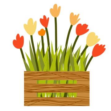 Flower Box Drawing, Flower Storage, Summer Plant, Box Png, Wooden Pot, Wood Illustration, Garden Wood, Plant House, Wood Pots