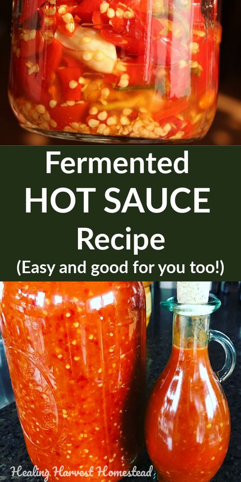 Fermented Cayenne Hot Sauce, Fermenting Hot Peppers, Make Your Own Hot Sauce, Homemade Fermented Hot Sauce, Making Hot Sauce, Fermenting Hot Sauce, Fermented Hot Peppers, Fermented Chilli Sauce, What To Do With Hot Peppers From Garden