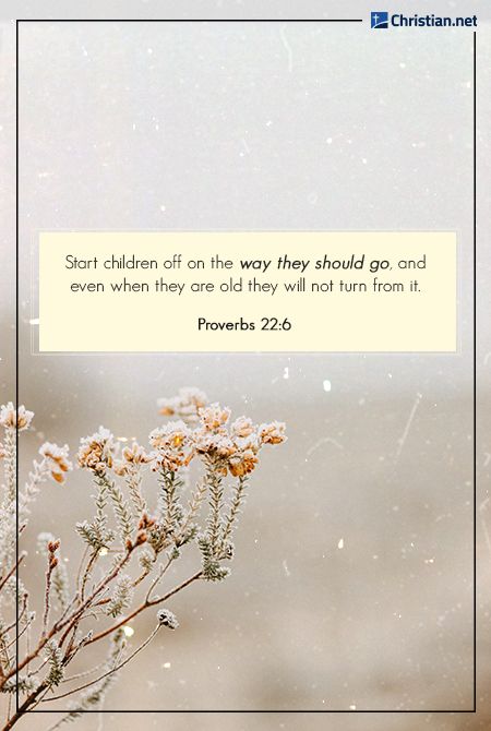 Bible Verse For Teachers Encouraging, Teacher Bible Verses, Bible Verse For Teachers, Teacher Scripture, Scripture For Teachers, Bible Verses For Teachers, Teacher Bible Verse, Christian Teacher Quotes, Verses For Teachers