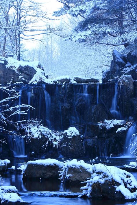 Most beautiful winter photography Winter Waterfall, Landscape References, Frozen Waterfall, Pretty Scenery, Pretty Nature Pictures, Crystal Kingdom, Frozen Art, Mountain Waterfall, Frozen Lake