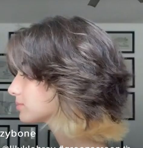 Wolf Haircut Thick Hair, Short Hairstyle Women Layered Straight, Short Grunge Hair Side Part, Rockstar Blowout Haircut Short, Wolf Cat Hairstyle Short, Short Wolf Cut Back View, Short Wolf Haircut With Bangs, Short Wolfcut Unstyled, Super Short Wolf Cut Hair