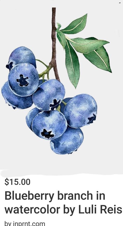 Fruit Collage, Blue Fruits, Watercolor Fruit, Diy Watercolor Painting, Berry Fruit, Graphic Poster Art, Fruit Painting, 수채화 그림, Diy Watercolor