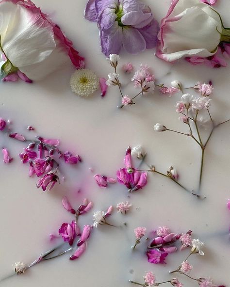 Milk Bath Flowers, Bath Flowers, Party In The Garden, Botanical Fashion, Bath Aesthetic, Flower Bath, Fashion Photography Inspiration, Milk Bath, Flower Cake