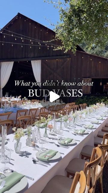 | 💐Paso Robles Florist 🏔Jaselle| on Instagram: "🌸 Bud Vase Real Talk 🌸  1️⃣Bud vases are a cost-effective option, but not necessarily a “less is more” choice. Their smaller size means you’ll need more per table to make an impact.  2️⃣They’re also not ideal for windy venues or outdoor locations where they might easily topple.  3️⃣Additionally, while they’re beautiful and versatile, they require meticulous care and setup to look their best on your big day.  Curious about how they could fit into your wedding vision? Let’s chat! 💬✨" How Many Bud Vases Per Table, Bud Vases Wedding, Bud Vases Flowers, We Get Married, Wedding Vision, Wedding Vases, Make An Impact, Bud Vase, Less Is More