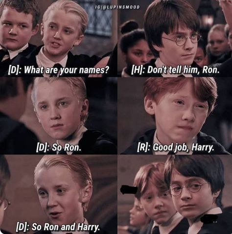 Hp Memes Funny, Facts About Harry Potter, Harry Potter Funny Tumblr, Meme Harry Potter, The Golden Snitch, Funny Harry Potter, Citate Harry Potter, Harry Potter Parody, Glume Harry Potter