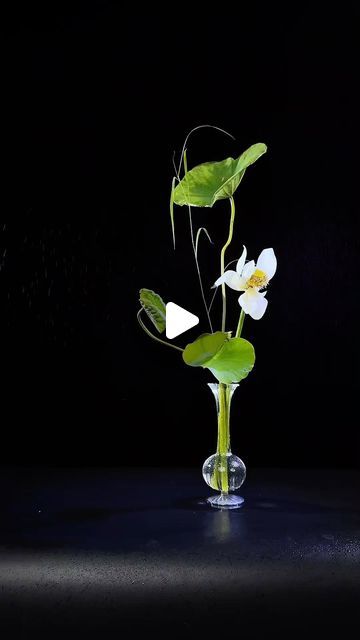 Ikebana