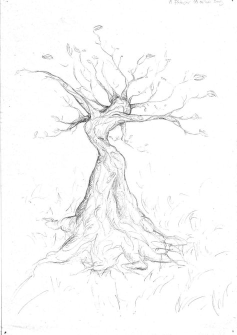 Woman Tree by Rachpunzel Woman Tree, Boom Kunst, Tree Tattoo Designs, Tree Woman, Tree Of Life Tattoo, Drawing Faces, Tree Drawing, Tree Tattoo, Woman Drawing