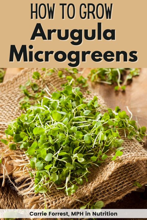 How To Grow Microgreens, Microgreens Garden, Grow Microgreens, Growing Microgreens, Growing Gardens, Food Web, Healthy Ideas, Grow Your Own Food, Growing Family