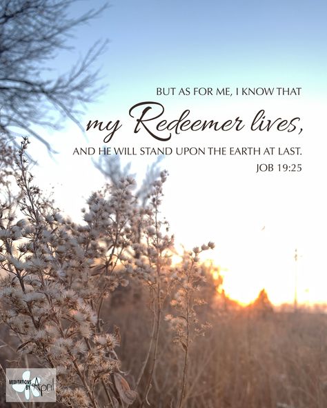 Job 19:25 ~~~ #bibleverse #scripture #scriptureart #bibleart ~~~ My Redeemer Lives – even in the midst of horrible circumstances, Job still stood strong on the truth that his Redeemer lives. We can stand strong on that truth in our circumstances, too. The Rest Of Our Lives Together Quotes, Redeemer Quotes, My Redeemer Lives Quotes, Restore Bible Verse, Job 9:10 Scripture, Psalm 68 19, New Day Quotes, Psalm 68, Psalm 40