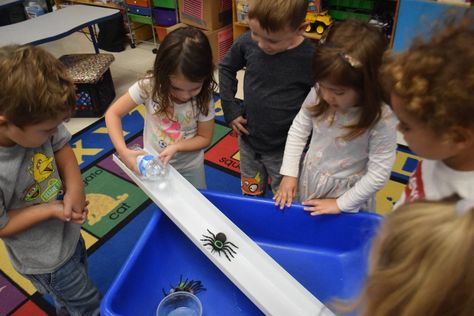 Incy Wincy Spider Activities, Spider Theme Preschool, Preschool Outdoor Activities, Water Play Activities, Spider Activities, Teacher Magazine, Nursery Rhymes Preschool, Spider Theme, Insects Preschool