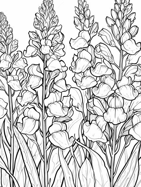 Muscari Flowers, Card Making Flowers, Globe Amaranth, Flower Sketches, Flower Coloring Pages, Coloring Book Art, Spring Flower, Diy Art Painting, Coloring Book Pages