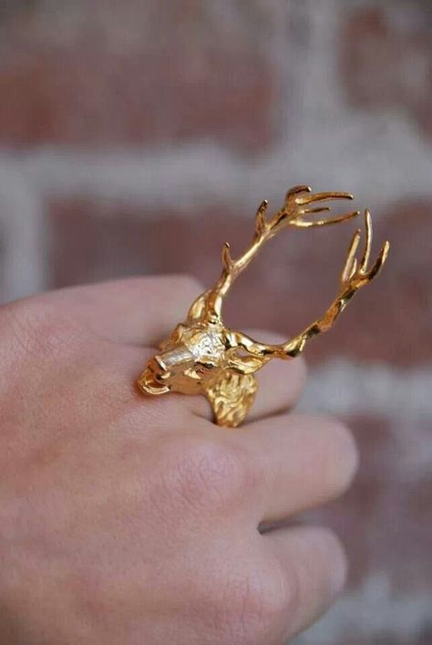 Stag ring Stag Ring, Oh Deer, Old Hollywood, Deer, Gold Rings, Gold Bracelet, Hollywood, Ring, Gold