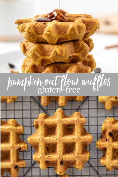 Oat Flour Pumpkin Waffles, Pumpkin Oat Waffles Recipe, Healthy Pumpkin Waffles Easy, Pumpkin Waffles Gluten Free, Pumpkin Waffles Recipe Healthy, Pumpkin Oatmeal Waffles, Oat Flour Pumpkin Recipes, Banana Pumpkin Waffles, Oat Flour Waffle Recipe