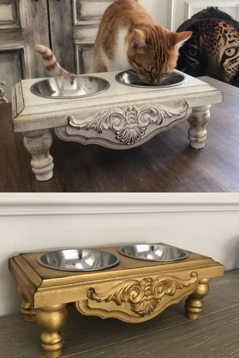 Fancy Cat Bowls, Cute Cat Bowls Aesthetic, Cat Food Bowl Ideas, Manifest Aesthetic, Kitten Stuff, Pet Bowl Stand, Cat Bowl Stand, Dog Room Decor, Raised Dog Feeder