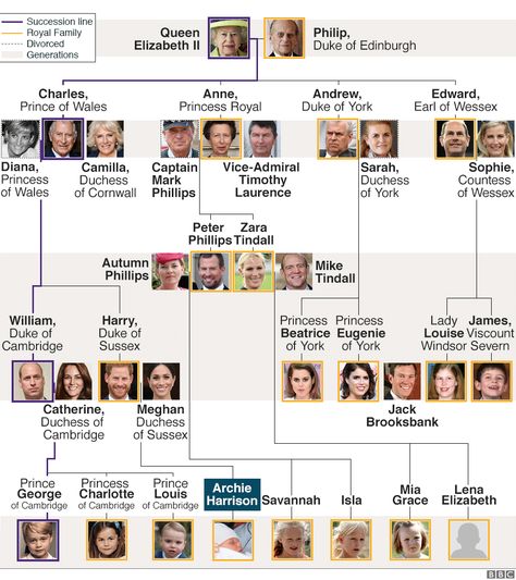 British Family Tree, Princess Beatrice Wedding, British Royal Family Tree, Royal Family Trees, Line Of Succession, British Family, Elisabeth Ii, Royal Brides, Princess Beatrice