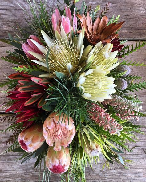 Diana Roy on Instagram: “The kind of fuel that Wednesday calls for. 💐 . . . #wellnesswednesday #soulfood #flowers #protea #treatyoself” Protea Flower Arrangements, Protea Centerpiece, Flower Centrepiece, Calendar Pictures, Protea Flower, Flower Arrangements Simple, Bar Mitzvah, Flower Centerpieces, Wedding Things