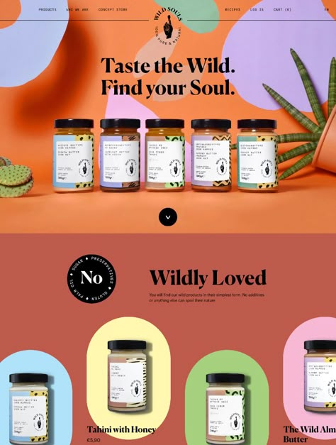 3716 Landing Page Design Inspiration - Lapa Ninja Complementary Colors Graphic Design, Web Design Colorful, Web Site Design Inspiration, Website Banner Design Inspiration, Cute Website Design, Orange Website, Cool Website Design, Landing Page Ideas, Drink Website