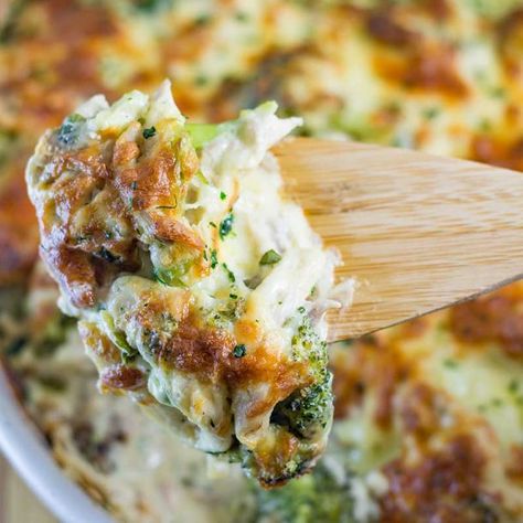 Keto Chicken Broccoli Casserole, Chicken Cheese Casserole, Keto Chicken Broccoli, Keto Chicken Casserole, Keto Broccoli, Broccoli Recipes Casserole, Broccoli Cheese Casserole, Vegetarian Chicken, Keto Casserole