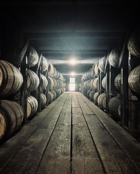 Buffalo trace distillery today. #bourbonwhiskey #bourbon #kentuckyhistory #frankfort Buffalo Trace, Bourbon Whiskey, Bourbon, Kentucky, Buffalo, History, Art