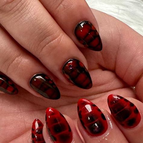 Margo on Instagram: "See ya later, alligator ❤️ #gelnails #hardgel #biabnails #summernails #trendingnails #grandjunctionnails #grandjunctionnailsalon" Alligator Nails Designs Acrylic, Alligator Nails Designs, Black And Red Croc Nails, Green Crocodile Nails, Red Croc Nails, Red Crocodile Nails, Red Alligator Nails, Gator Nails, Red Black Crocodile Nails