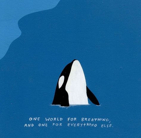 Orca Quotes, Orca Art, Life Gets Better, Personal Library, Under The Moon, Weird Shirts, Human Connection, Strong Girls, Zoology