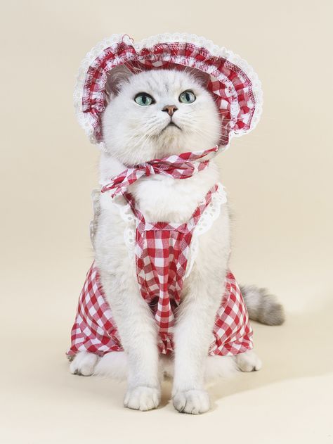 2pcs Plaid Print Pet Dress & Hat Set Cute Cats Dressed Up, Cat Dresses For Cats, Cute Cats In Hats, Cute Cats With Hats Aesthetic, Plaid Skirt Set, Cat Dressed Up, Winter Cat, Cute Cartoon Characters, Pet Dress