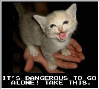 IT'S DANGEROUS TO GO ALOWE! TAKE THIS. – popular wholesome memes on the site whlsm.com Animals Happy Birthday, Cute Animal Memes, Happy Pictures, Funny Animal Quotes, Animals Funny, Cat Quotes, Cat Birthday, Funny Cat Pictures, Silly Cats