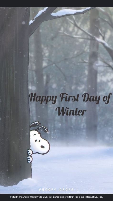 1st Day Of Winter, Happy First Day Of Winter, Good Morning Snoopy, First Day Of Winter, Game Codes, Hello Winter, All Games, First Day, Good Morning