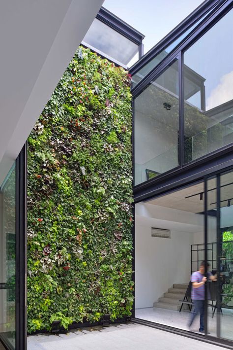 Incredible two storey green wall! This oversized vertical garden shows how it's done! Foto Scale, Vertical Garden Design, Internal Courtyard, Green Architecture, Patio Interior, Wall Garden, Design Exterior, Interior Garden, Living Wall